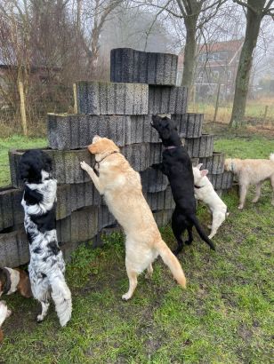 a464758a-cb15-403f-a73c-d0f8d4605ab3